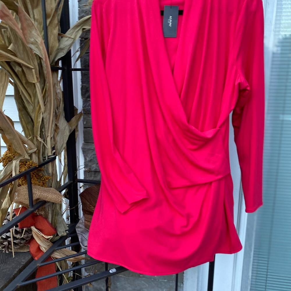 Alfani Woman’s 1X top.